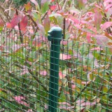 Betafence Multistick 18mm 75cm groen RAL 6005 (25x)