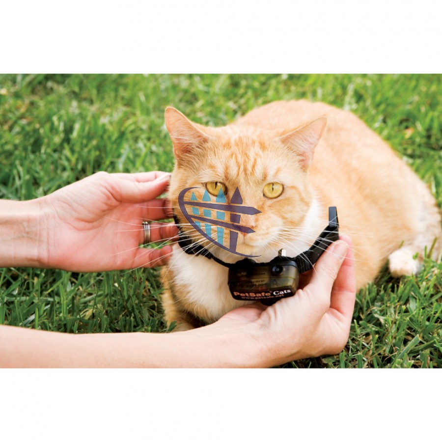 Petsafe In-Ground Cat Fence (Radio